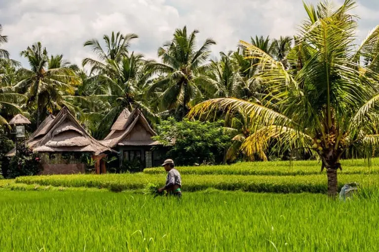 bali-gcc8a8dfce_1280