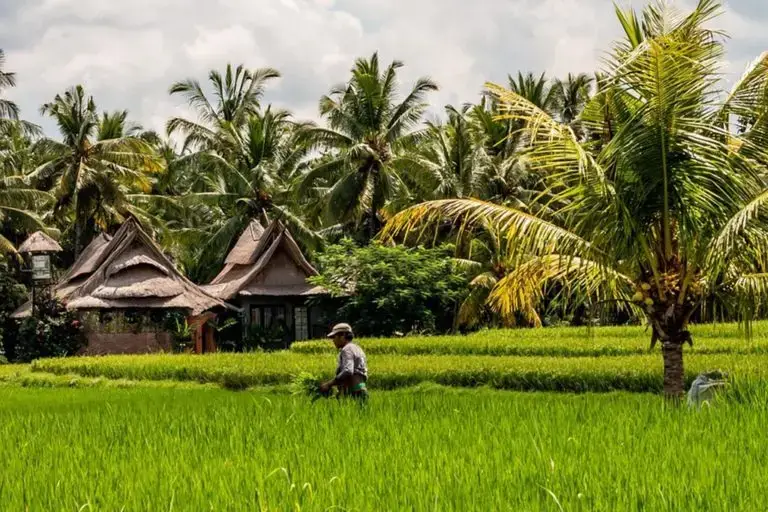 bali-gcc8a8dfce_1280.jpg